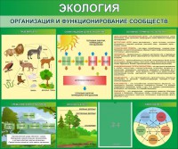 Стенд "Экология. Организация и функционирование сообществ" - fgospostavki.ru - Нижневартовск