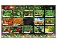 Комплект оборудования "Живой уголок" (растения) - fgospostavki.ru - Нижневартовск
