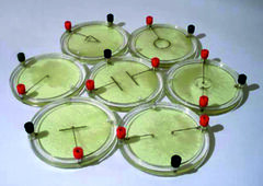 Демонстрационный комплект «Силовые линии электрического поля разных систем зарядов» - fgospostavki.ru - Нижневартовск