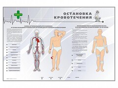 Электрифицированный стенд "Остановка кровотечения" - fgospostavki.ru - Нижневартовск