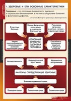 Комплект таблиц. ОБЖ. Здоровый образ жизни. - fgospostavki.ru - Нижневартовск