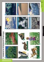 Комплект таблиц. Окружающий мир. Летние и осенние изменения в природе. - fgospostavki.ru - Нижневартовск