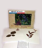 Гербарий "Дикорастущие растения" (28 видов) - fgospostavki.ru - Нижневартовск