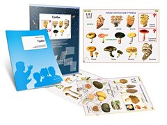 Комплект кодотранспарантов "Грибы" - fgospostavki.ru - Нижневартовск