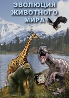 DVD "Эволюция животного мира" - fgospostavki.ru - Нижневартовск
