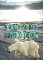 DVD "Животный мир Арктической зоны" - fgospostavki.ru - Нижневартовск