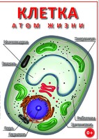 DVD "Клетка - "атом жизни" - fgospostavki.ru - Нижневартовск