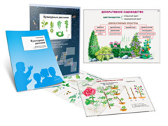 Комплект кодотранспарантов "Культурные растения" - fgospostavki.ru - Нижневартовск