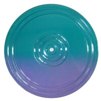 Диск здоровья (многоцветный) - fgospostavki.ru - Нижневартовск