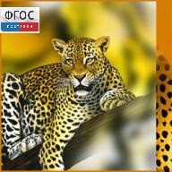Зоология. (Цифровая база изображений) - fgospostavki.ru - Нижневартовск