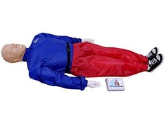 "Александр-04" тренажер-манекен взрослого пострадавшего для отработки приемов сердечно-легочной реанимации (голова, туловище, конечности) с контроллером - fgospostavki.ru - Нижневартовск