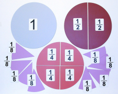 Набор магнитных карточек "Доли и дроби - 1" - fgospostavki.ru - Нижневартовск