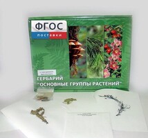Гербарий "Основные группы растений" (52 листа) - fgospostavki.ru - Нижневартовск