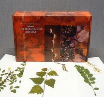Гербарий для Начальной школы (28 видов) - fgospostavki.ru - Нижневартовск