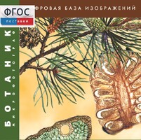 Ботаника. Микрофотографии. (Цифровая база изображений) - fgospostavki.ru - Нижневартовск