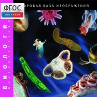Биология. Микрофотографии. (Цифровая база изображений) - fgospostavki.ru - Нижневартовск
