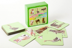 Набор магнитных карточек "Устный счет" (фон зеленый) - fgospostavki.ru - Нижневартовск