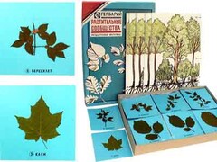 Гербарий "Растительные сообщества" - fgospostavki.ru - Нижневартовск