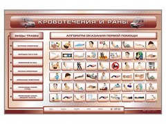 Трехсекционный базовый комплект "Травмы. Кровотечения. Ожоги" для учащихся общеобразовательных учреждений - fgospostavki.ru - Нижневартовск