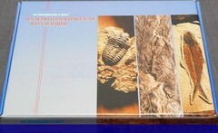 Коллекция "Палеонтологическая" (16 образцов) - fgospostavki.ru - Нижневартовск