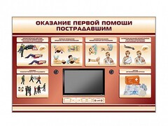 Многофункциональный интерактивный стенд-тренажер "Оказание первой помощи пострадавшим" для учащихся общеобразовательных учреждений - fgospostavki.ru - Нижневартовск