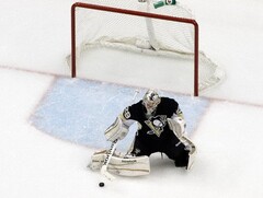 Гашение (отбойники) для хоккейных ворот - fgospostavki.ru - Нижневартовск