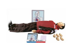 "Максим III-01" тренажер сердечно-легочной и мозговой реанимации - fgospostavki.ru - Нижневартовск