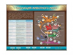 Интерактивный электрифицированный стенд "Эволюция животного мира" - fgospostavki.ru - Нижневартовск