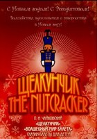 DVD "Щелкунчик. Волшебный мир балета" сказка-балет для детей - fgospostavki.ru - Нижневартовск