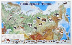 Магнитные карточки "Животные" - fgospostavki.ru - Нижневартовск