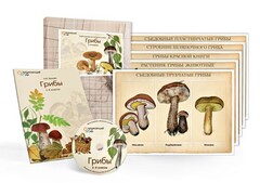 Комбинированное наглядное пособие  «Грибы» - fgospostavki.ru - Нижневартовск