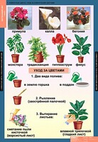 Комплект таблиц. Окружающий мир 1 класс. - fgospostavki.ru - Нижневартовск