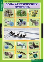 Комплект таблиц. Окружающий мир 4 класс. - fgospostavki.ru - Нижневартовск