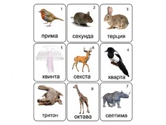 Набор магнитных карточек по музыке "Животные" (9 штук) - fgospostavki.ru - Нижневартовск