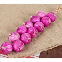 Муляжи "Связка лука" - fgospostavki.ru - Нижневартовск