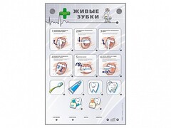 Интерактивный стенд "Живые зубки" - fgospostavki.ru - Нижневартовск