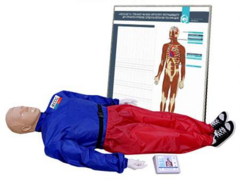 "Александр-01" тренажер-манекен взрослого пострадавшего для отработки приемов сердечно-легочной реанимации (голова, туловище, конечности) с контроллером и настенным табло - fgospostavki.ru - Нижневартовск