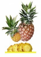 Комплект карточек "Запоминай, играй, считай" - Фрукты - fgospostavki.ru - Нижневартовск