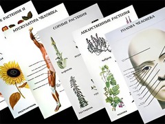 Таблицы по природоведению 1-3 класс (46 штук, формат А2) - fgospostavki.ru - Нижневартовск