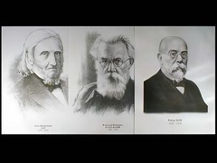 Портреты биологов (26 штук, формат А3) - fgospostavki.ru - Нижневартовск