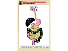 Рельефная таблица "Пищеварительный тракт" (формат А1, матовое ламинирование) - fgospostavki.ru - Нижневартовск