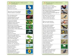 Комплект карточек (10) "Обучающий калейдоскоп. Природа" - fgospostavki.ru - Нижневартовск