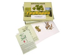 Гербарий "Для начальной школы" (30 видов, с иллюстрациями) - fgospostavki.ru - Нижневартовск