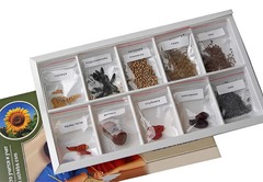 Коллекция "Плоды сельскохозяйственных растений" - fgospostavki.ru - Нижневартовск