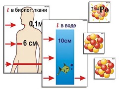 Модель-аппликация "Явление радиоактивности" (ламинированная) - fgospostavki.ru - Нижневартовск