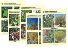 Гербарий фотографический по географии - fgospostavki.ru - Нижневартовск