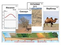 Модель-аппликация "Природные зоны" - fgospostavki.ru - Нижневартовск