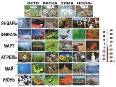 Фенологические наблюдения - fgospostavki.ru - Нижневартовск