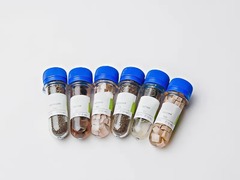 Набор № 6 ОС Щелочные и щелочноземельные металлы - fgospostavki.ru - Нижневартовск