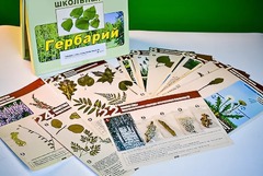Гербарий к курсу основ общей биологии - fgospostavki.ru - Нижневартовск